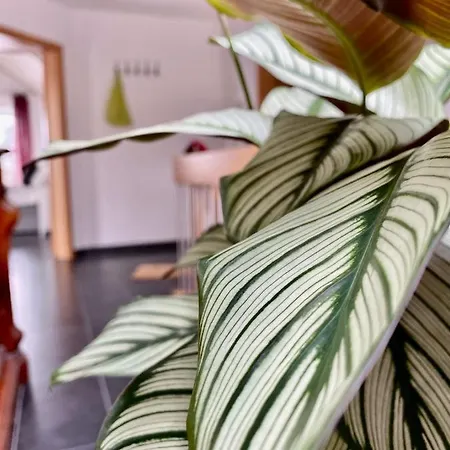 Apartamento Moderne Seeblick *