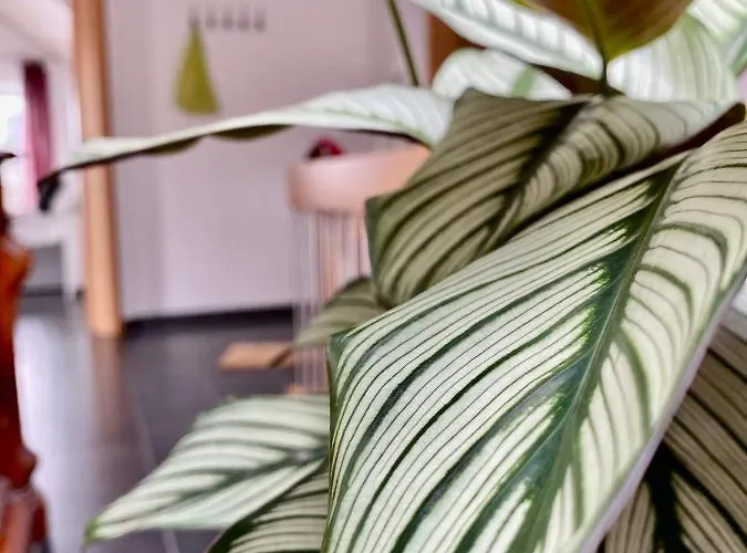 Appartement Moderne Seeblick *